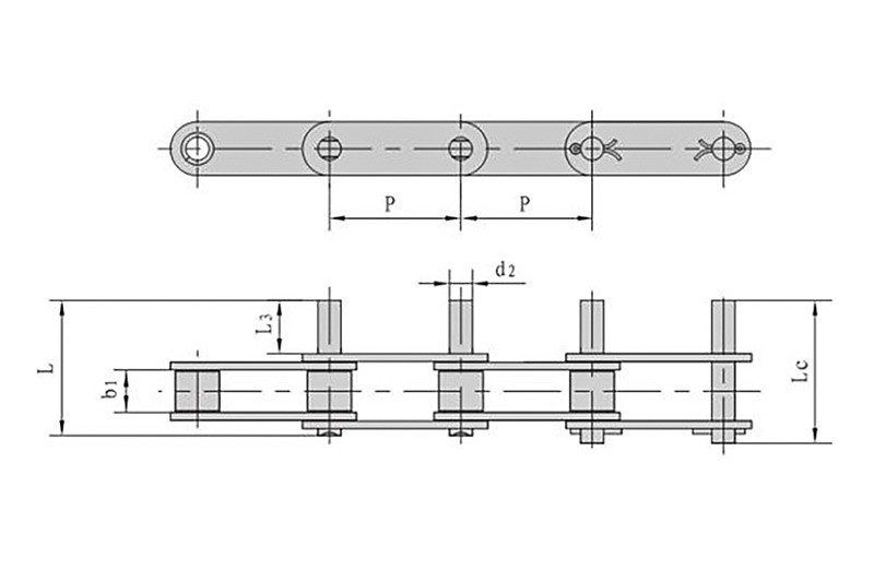 Caracteristicile structurale ale lanțului transportor