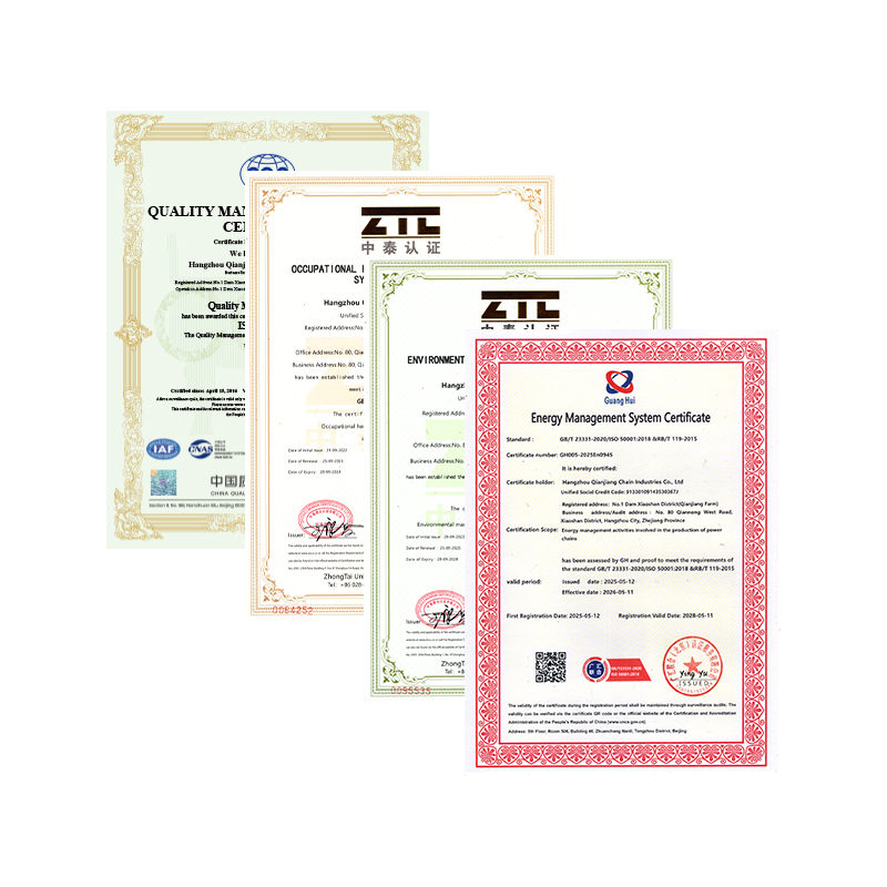 Hangzhou Qianjiang Chain Industries Co., Ltd. a trecut de certificarea anuală a sistemului